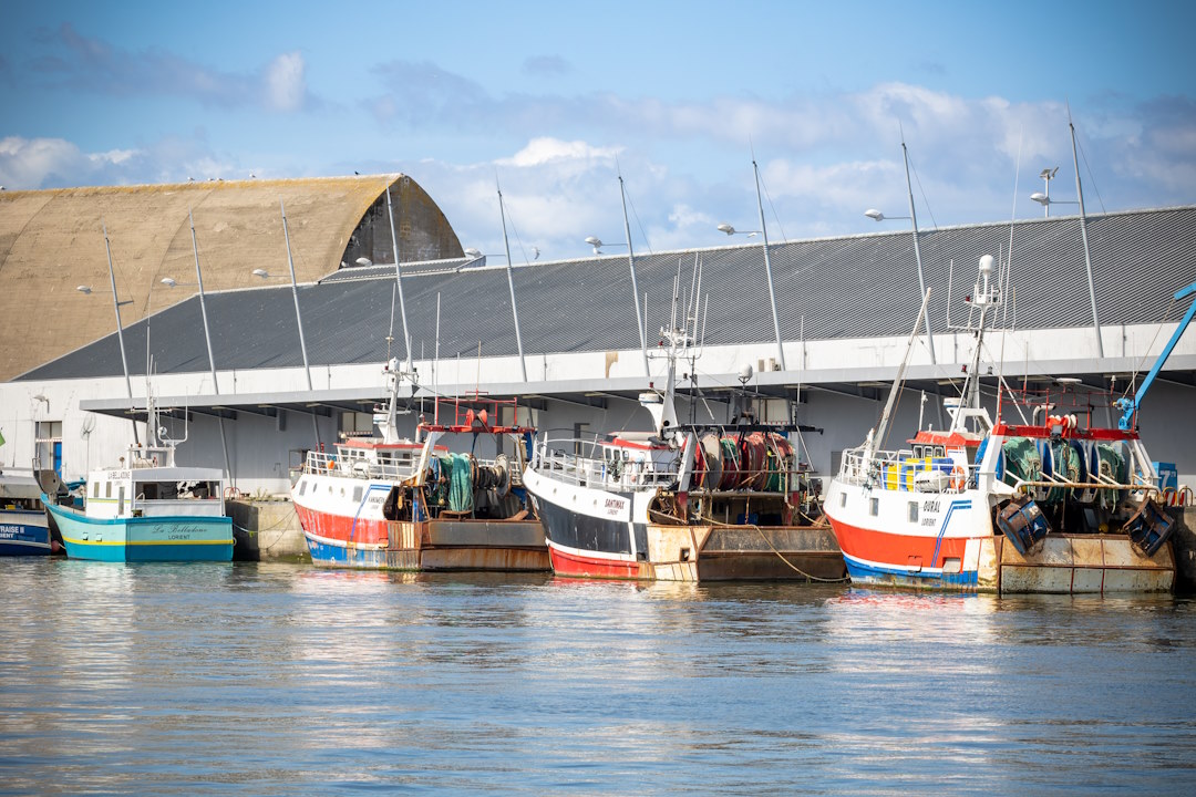 Bateaux au port de pêche de Lorient Keroman